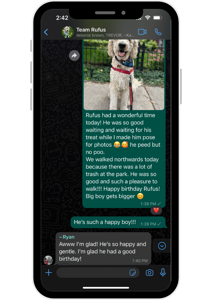 Whatsapp screenshot of loving and fun interaction between dogwalkers and dog owner